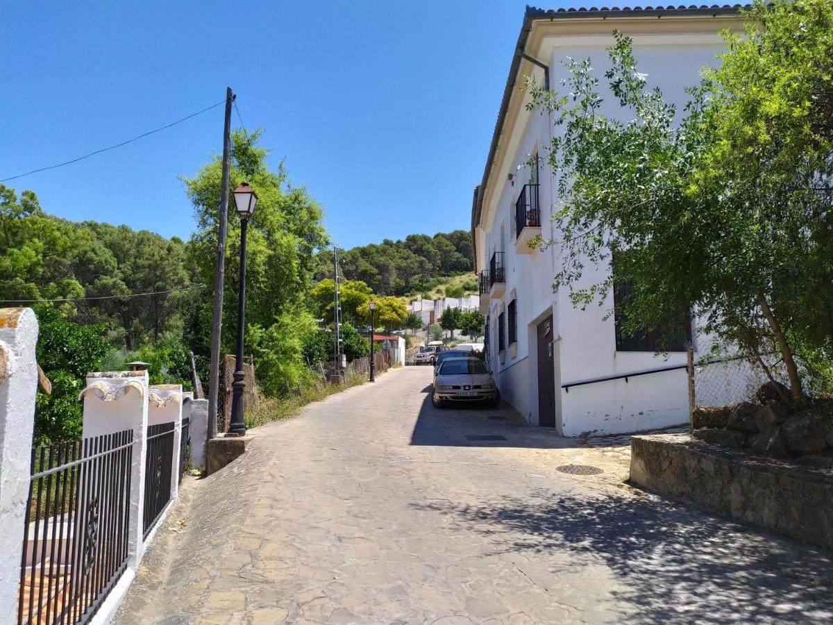 Vivienda Majaceite Apartment El Bosque Bagian luar foto