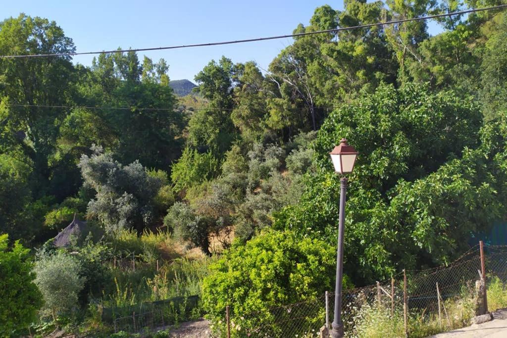 Vivienda Majaceite Apartment El Bosque Bagian luar foto